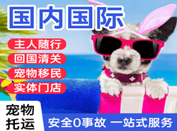 高崎航空快运国际宠物托运 【国
